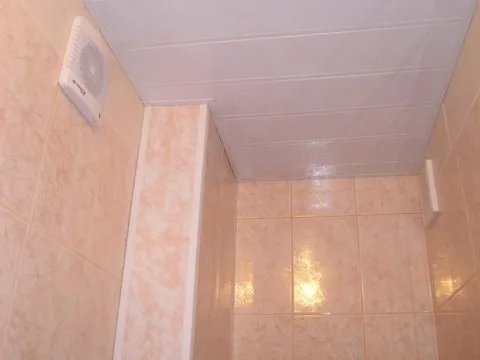 Пластиковый подвесной потолок туалета