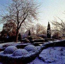 Зимний сад - зимняя сказка