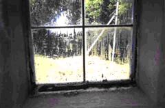 Окно испорчено строительным раствором