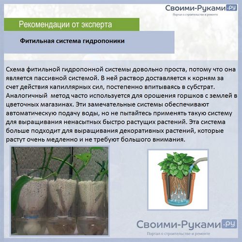 Гидропонная установка для выращивания зелени своими руками - 3 лучших варианта!