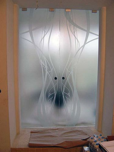 Интересные идеи использования стеклянных дверей в интерьере помещения