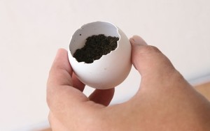 Яичная скорлупа как удобрение: как применять - подробные пошаговые инструкции!