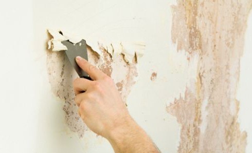 Как подготовить стены к поклейке обоев: оклейка бетонных покрытий и других, инструкция, видео, фото