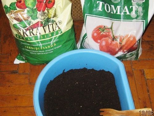 Как вырастить помидоры в теплице - пошаговая инструкция!