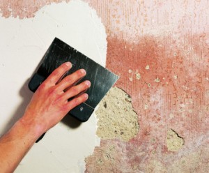 Обои на масляную краску: инструкция как наклеить своими руками, видео и фото