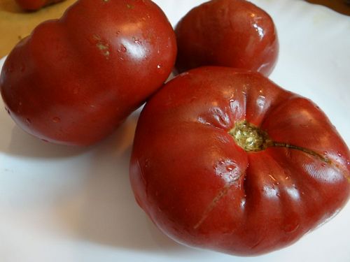 Сладкие сорта помидоров для открытого грунта - подробный обзор сортов!