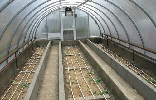Выращивание зелени в теплице как бизнес: инструкция - подробно!