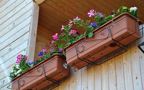 Цветы в ящиках на балконе (фото и видео)