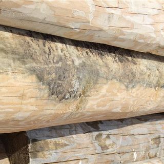 Как правильно ухаживать за баней: обработка древесины для защиты от гниения и уборка в бане