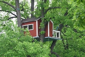 Как сделать домик на дереве своими руками