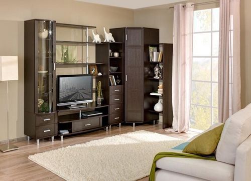 Мебель для зала: фото в квартире, как выбрать интерьер, большой зал, как поставить мебель, виды и выбор