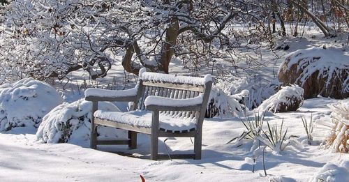 Мебель садовая из дерева + фото
