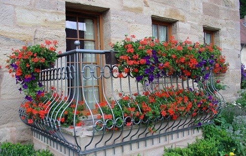 Озеленение балкона своими руками (фото)