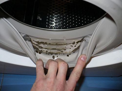 Плесень в стиральной машине как избавиться: как очистить резинку, почистить автома, чем отмыть, Доместос