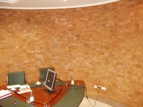 Пробковые обои (49 фото): идеи стен в интерьере, характеристика изделий в рулонах под пробку, плюсы и минусы настенных обоев