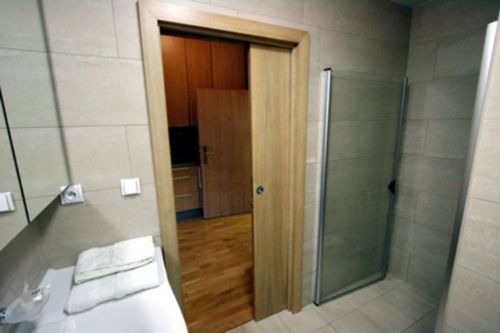 Раздвижные двери для ванной комнаты: что выбрать