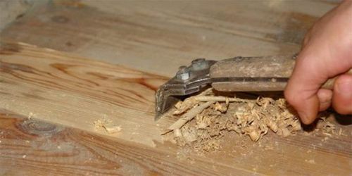 Шлифовка деревянного пола своими руками: технология и инструменты