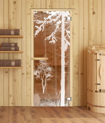 Стеклянные двери для бани (41 фото): модели из матового стекла, размеры дверной коробки, отзывы