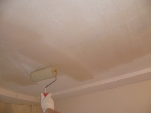 Водоэмульсионная краска для потолка: преимущества и недостатки 