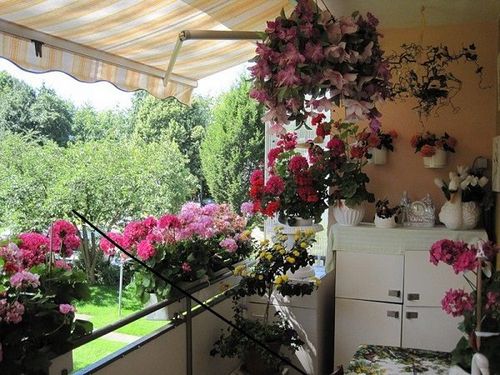 Выбираем балконные ящики для цветов