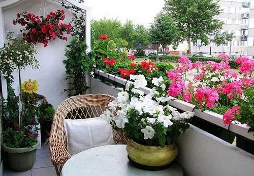 Выбираем балконные ящики для цветов