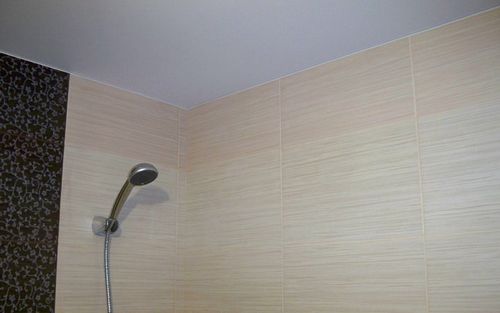 Выбор потолка для ванной - что дешевле, а что проще сделать