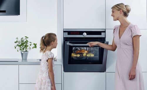 Жарочный шкаф для выпечки дома: электропечь для выпечки в домашних условиях, чудо-печь, электрическое оборудование, для пирогов, фото, видео