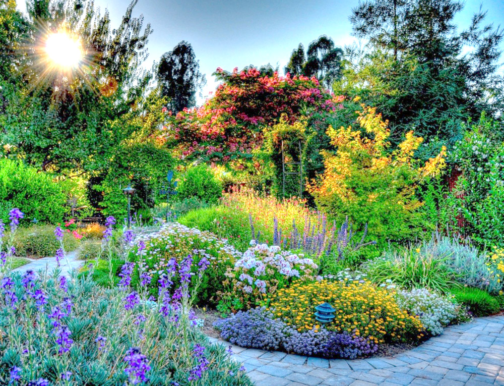Яркая цветовая композиция — один оптический трюк, который делает ваш сад больше