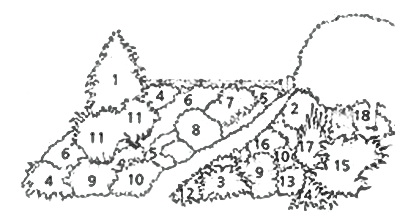 План перепланировки