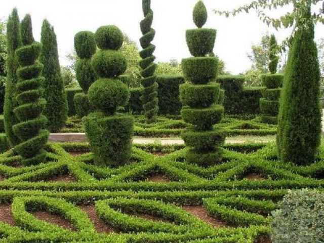 Вечнозеленые скульптуры в парках и садах
