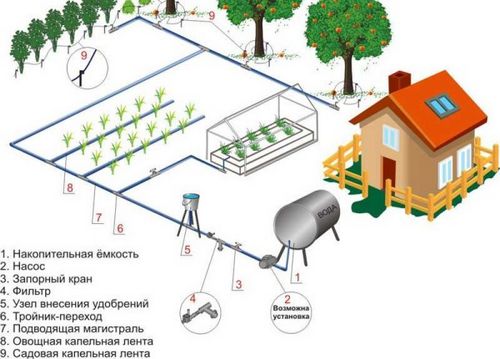 Автоматический полив своими руками