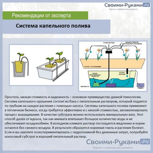 Гидропонная установка для выращивания зелени своими руками - 3 лучших варианта!