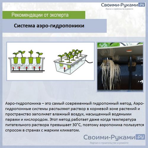 Гидропонная установка для выращивания зелени своими руками - 3 лучших варианта!