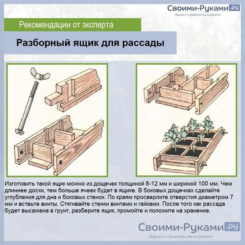 Как вырастить помидоры в теплице - пошаговая инструкция!