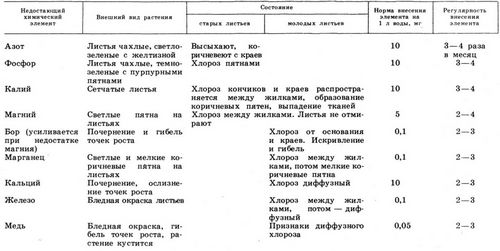 Какие удобрения надо вносить весной - подробная информация!