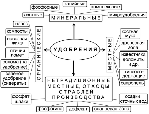 Какие удобрения надо вносить весной - подробная информация!