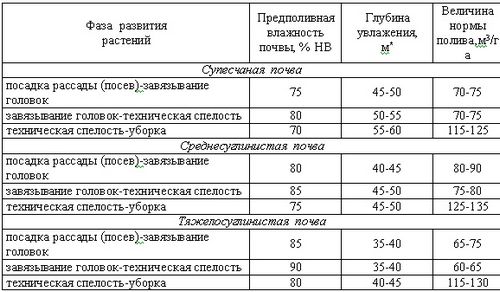 Капуста ранняя: лучшие сорта - лучший обзор + инструкция по выращиванию!