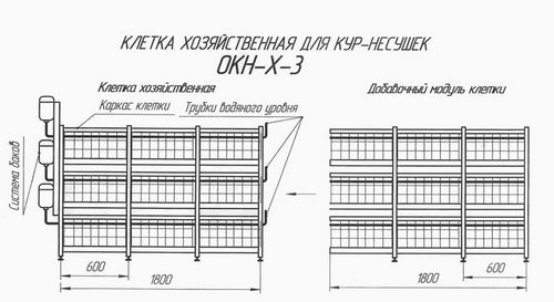 Клетки для кур несушек: чертежи с размерами и пошаговое изготовление - подробно!