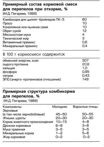 Кормление перепелов в домашних условиях - чем и как кормить