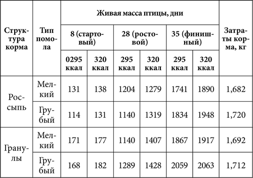 Куры несушки: лучшие породы для разведения дома - подробная информация!