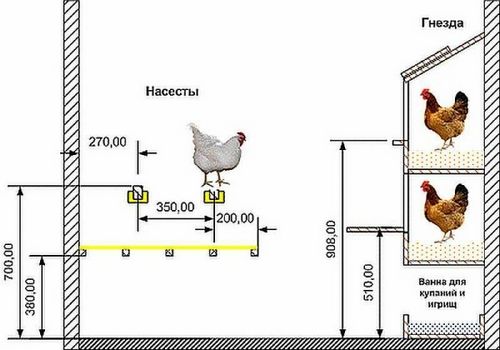 Обустройство курятника: насесты, гнезда, поилки