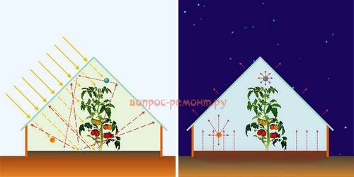 Парник своими руками: чертежи, как сделать, варианты