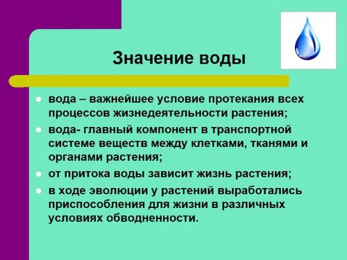 Полив огорода – оборудование своими руками: правила подборки и монтажа!