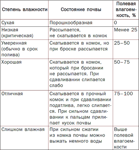 Полив огорода – оборудование своими руками: правила подборки и монтажа!