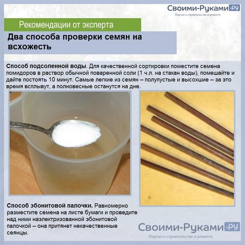 Помидоры на подоконнике зимой: лучшие сорта - подробная информация! (сорт, томат) Помидоры на подоконнике зимой: лучшие сорта - подробная информация!