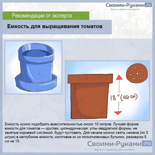 Помидоры на подоконнике зимой: лучшие сорта - подробная информация!