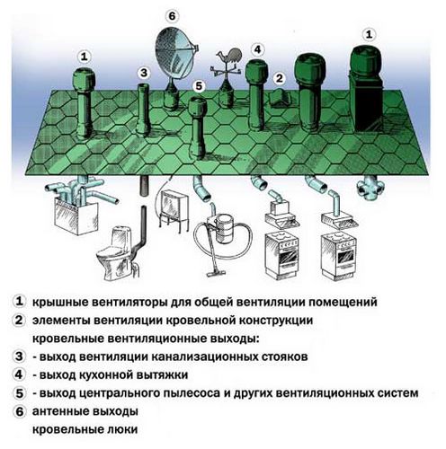 Противогрибковая грунтовка для стен против плесени: инструкция по применению, видео и фото