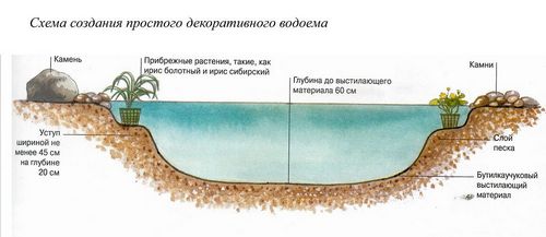 Сад и огород своими руками не как у всех: интересные идеи