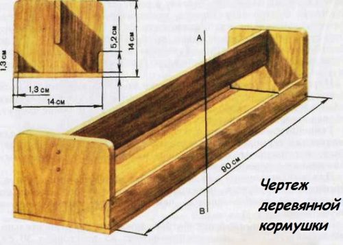 Содержание уток в домашних условиях - подробная инструкция