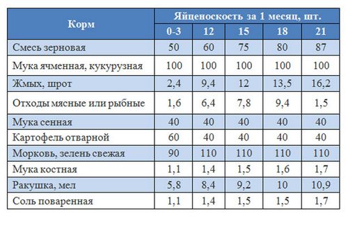 Содержание уток в домашних условиях - подробная инструкция